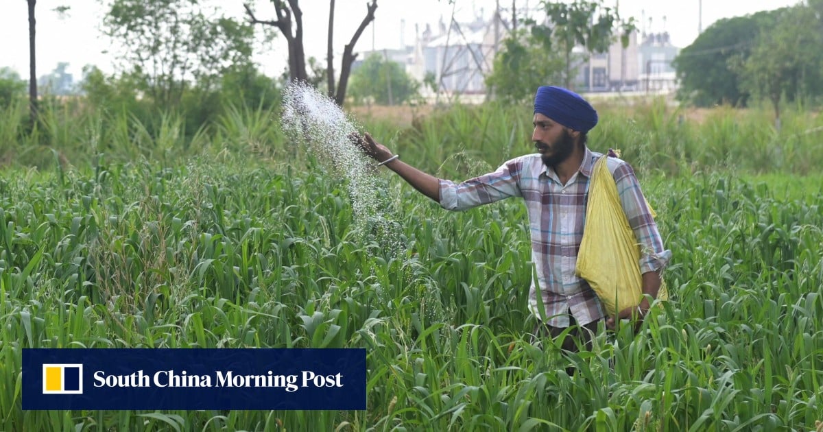 Asian economies face ‘formidable test’ as Middle East conflict drags on: ADB