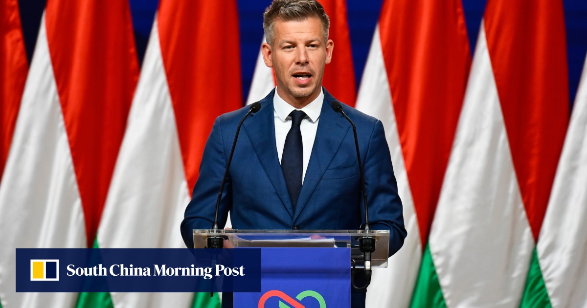 Hungary’s prime minister-elect vows fair play for firms, review of Orban’s deals