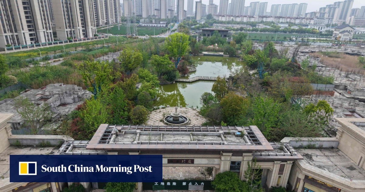 Tycoon Pan Shiyi slams China property ‘Ponzi’ as Evergrande boss pleads guilty