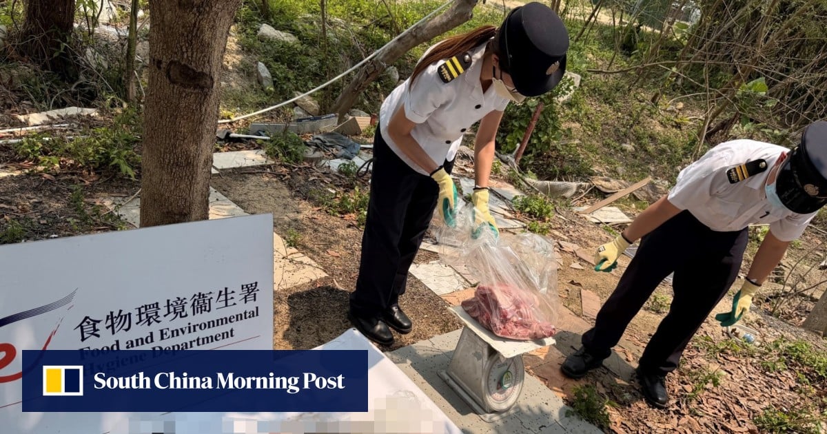 Hong Kong authorities use drones to help raid illegal slaughterhouse in Yuen Long