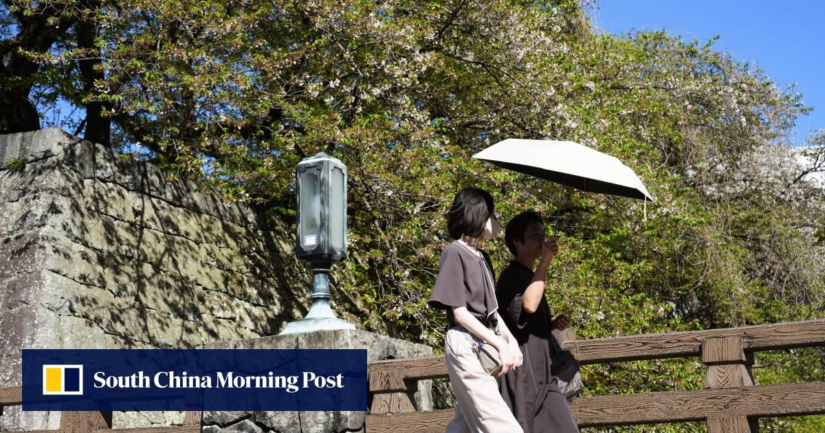 Japan warned of ‘hellish summer’ as energy fears mount