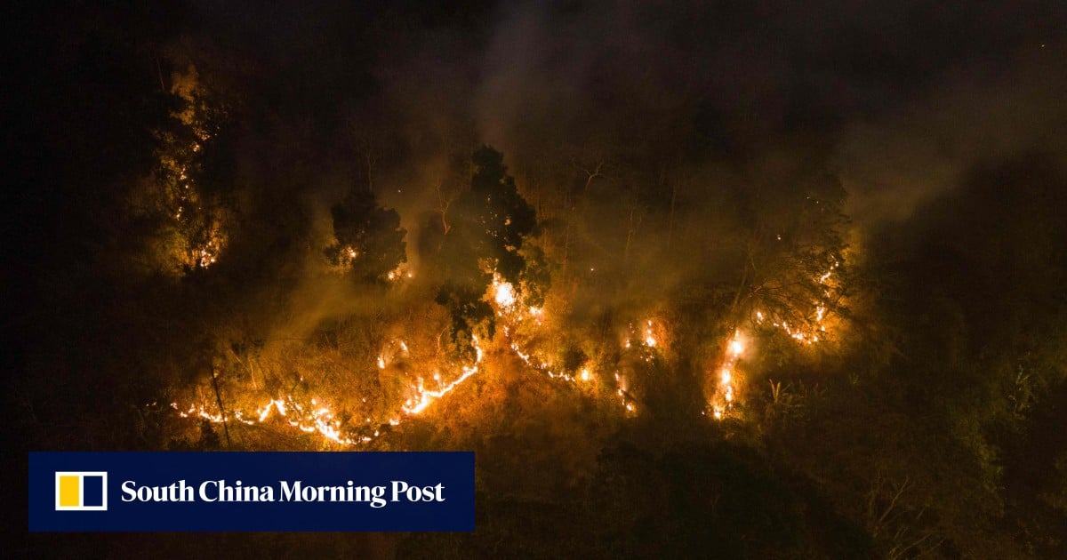 ‘Worst I’ve seen’: forest fires rage across Thailand, Mekong region