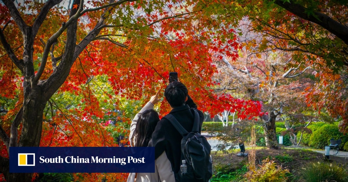 Japanese prefecture pays singles to use dating apps to battle low birth rates