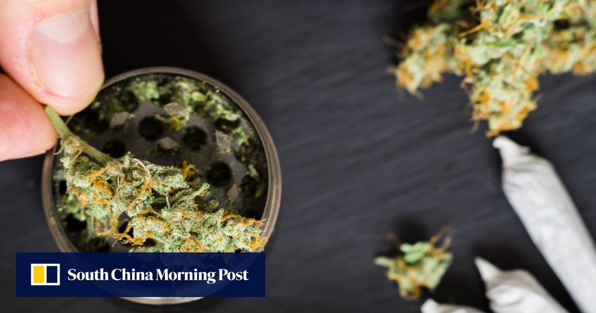 Trump reclassifies state-licensed medical marijuana as less dangerous drug