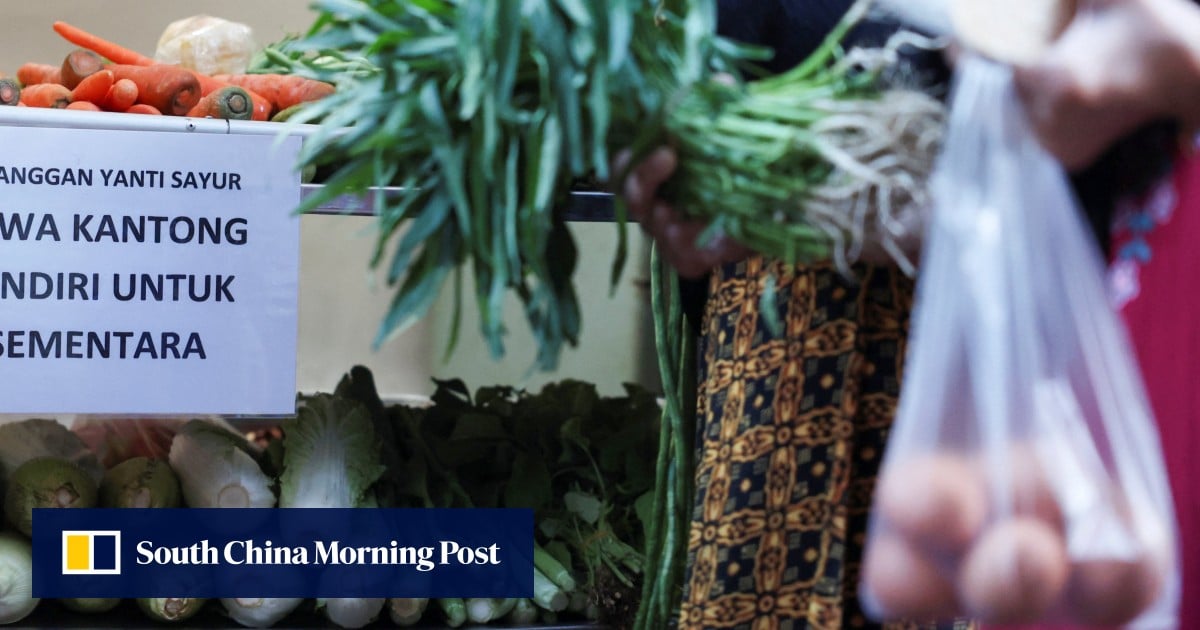 Mixed bag: Indonesia’s 8% growth dream hits a plastic ceiling