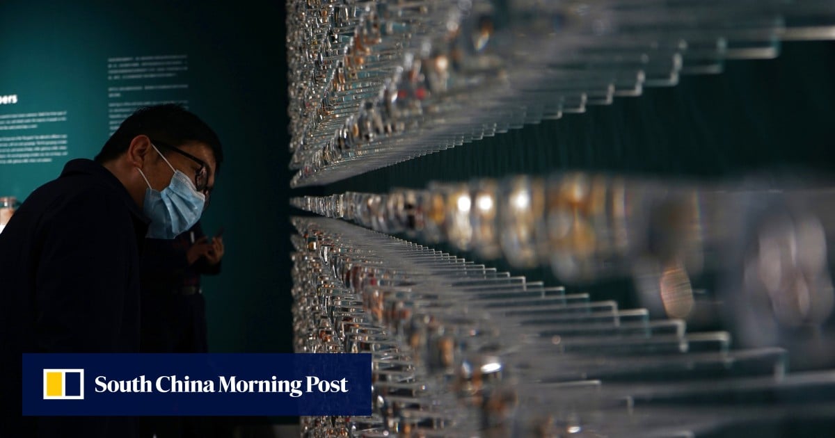 ‘Big shout-out’ to China’s environmental leadership from UN agency head