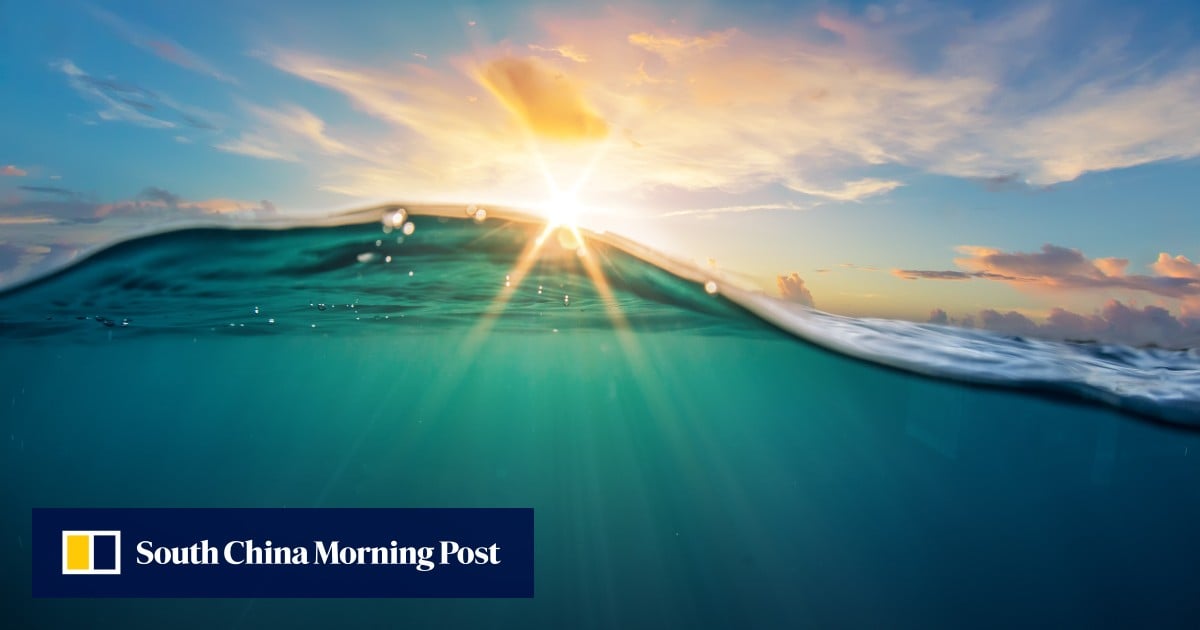 Scientists in China create a predator-like material to hunt for uranium in the ocean