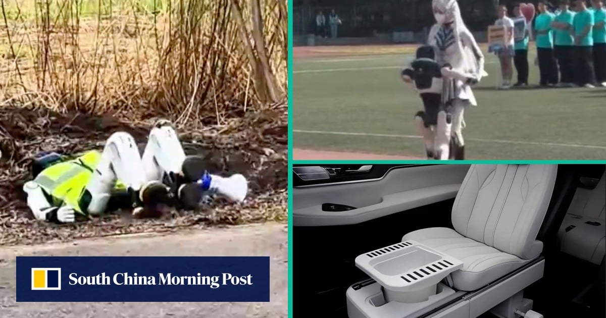 Quirky China: robot plays dead for pesticide warnings; bot hugs girl, in-car toilet approved