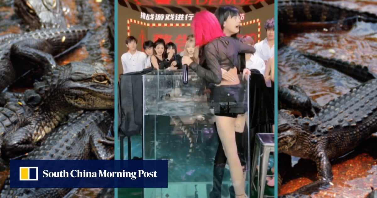 China social media account banned for forcing women to stay in tank with crocodile