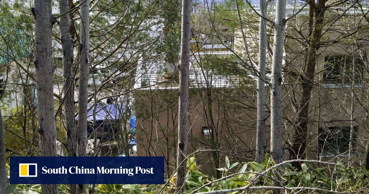 Zoo in Japan’s Hokkaido delays reopening over search for body in incinerator