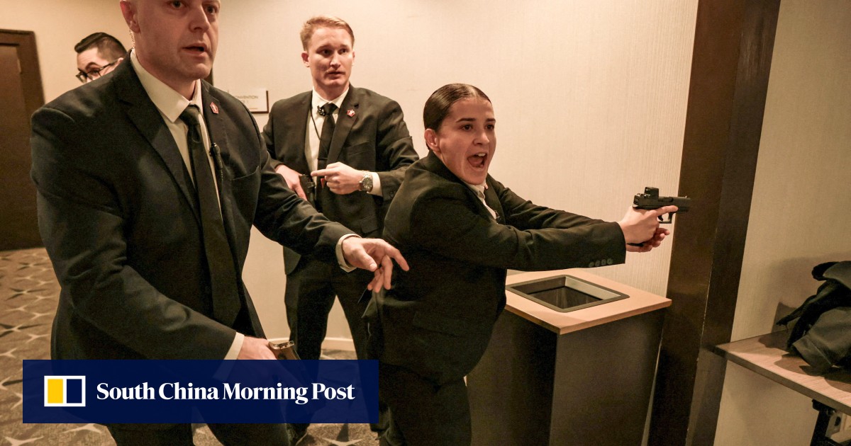 Are US agents around Trump armed with Chinese red dot sights?