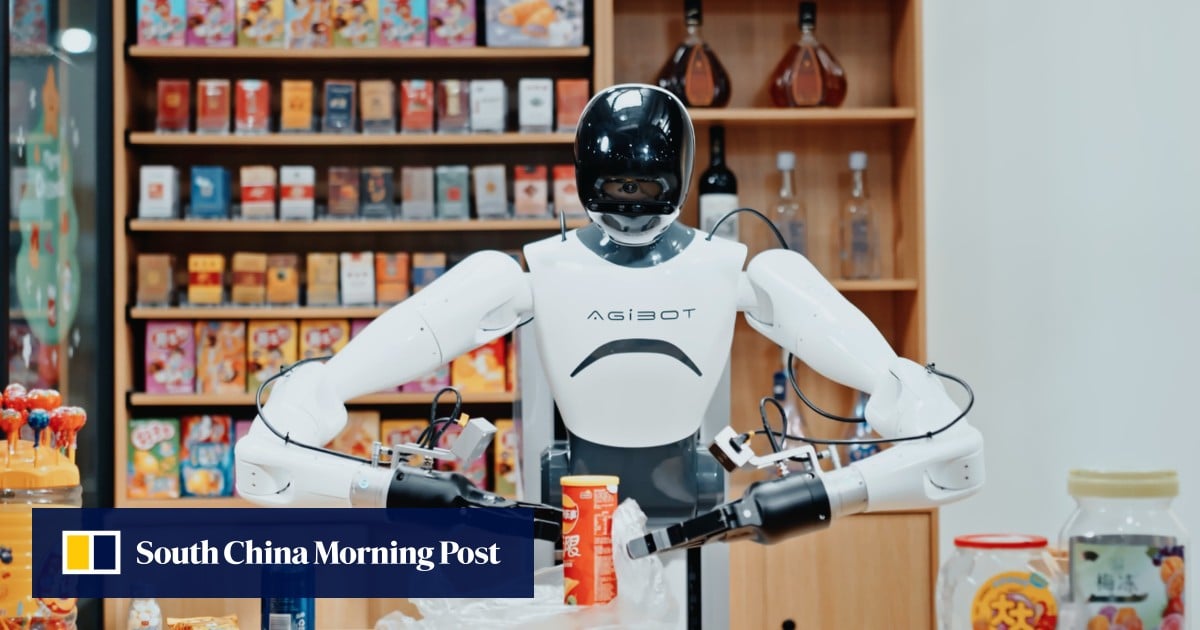 China's Robot Revolution: Hype, Reality, and the Quest for Profitability