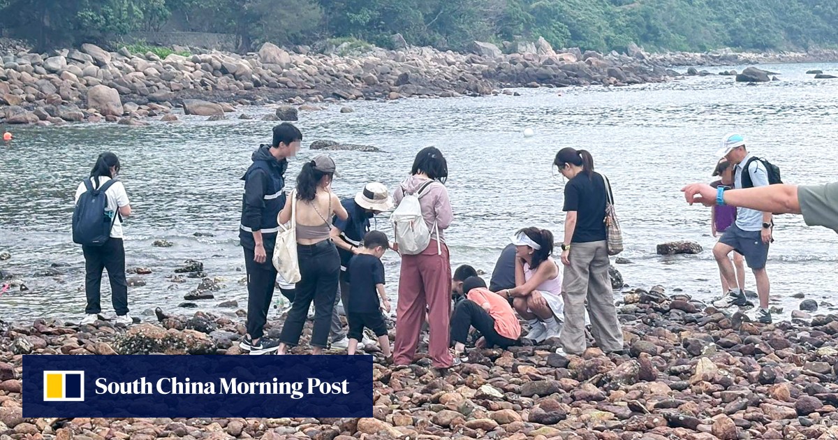 Visitors warned over removing crabs, shells from Hong Kong’s Sharp Island