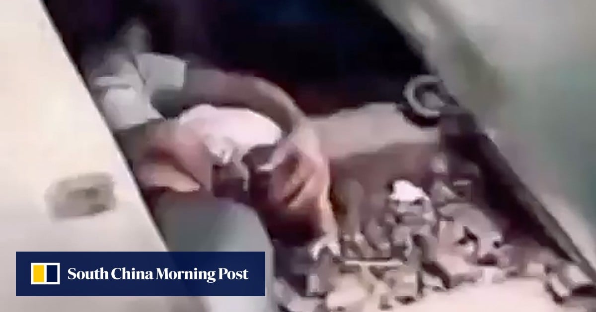 Hero or reckless? Bangladeshi man saving baby on train tracks divides opinion