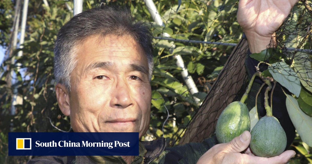 https://cdn.i-scmp.com/sites/default/files/styles/og_image_scmp_generic/public/d8/images/canvas/2026/05/05/151d6e06-d8ed-4218-9a74-1e50237a392d_f7f7e499.jpg?itok=jNNLD_nA&v=1777954837