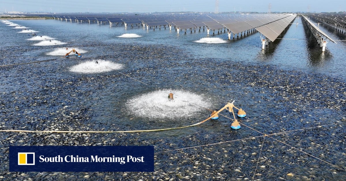 From sea to sight: Chinese study finds aquatic virus can infect human eyes
