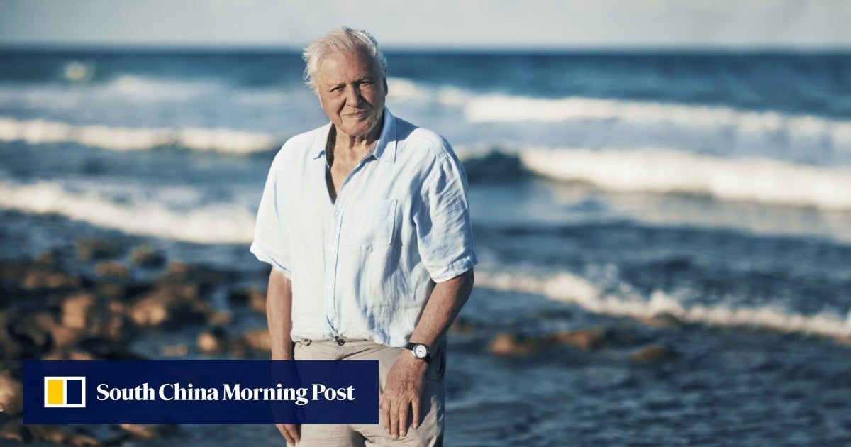 https://cdn.i-scmp.com/sites/default/files/styles/og_image_scmp_generic/public/d8/images/canvas/2026/05/07/fc63a92f-aab0-4b7a-ba20-10a1b5909ef1_bb61b019.jpg?itok=naxin8Al&v=1778125538