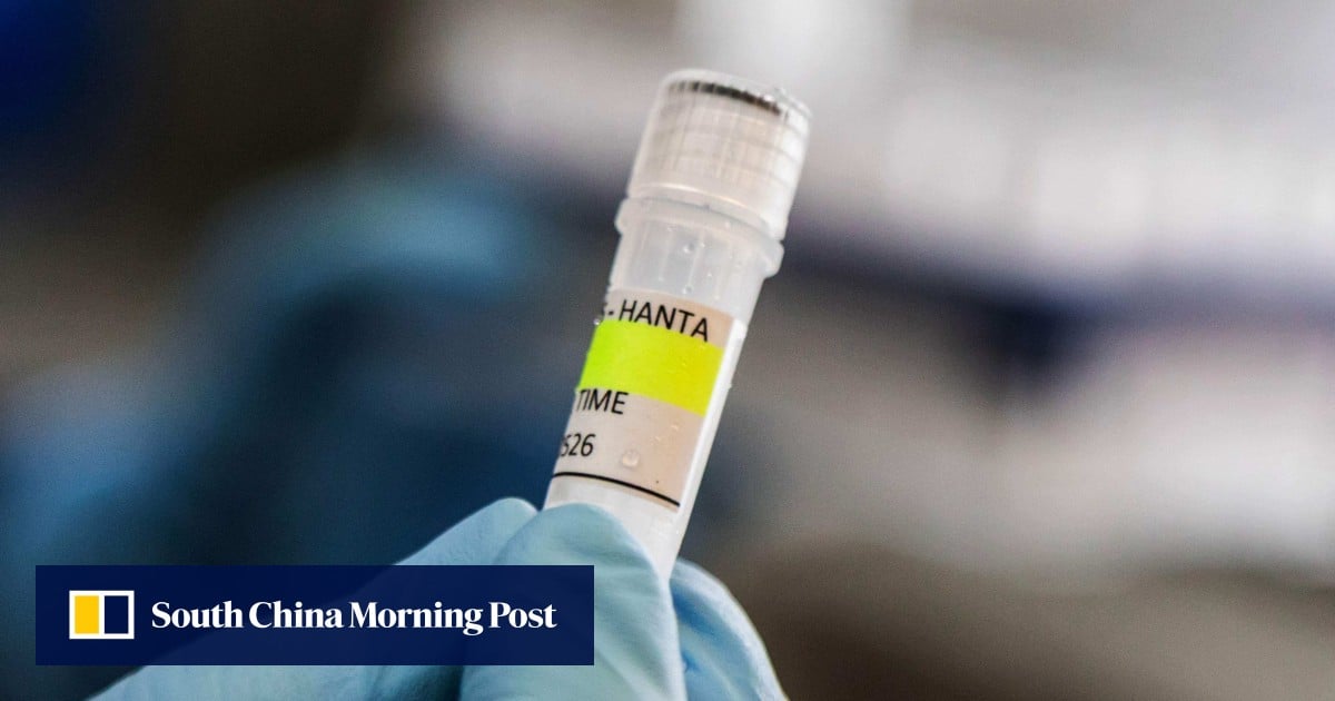‘Almost zero’ chance Dutch man got hantavirus in Argentina’s Ushuaia, official says