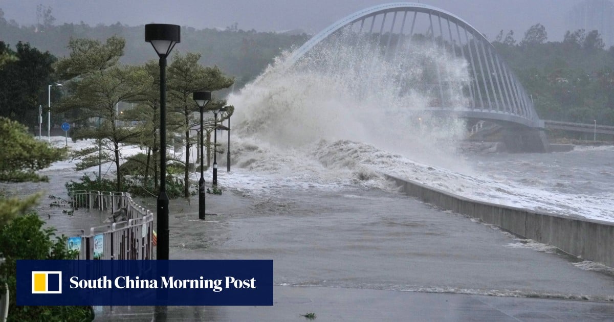 Hong Kong braces for typhoon season with 50,000 sandbags, flood barriers