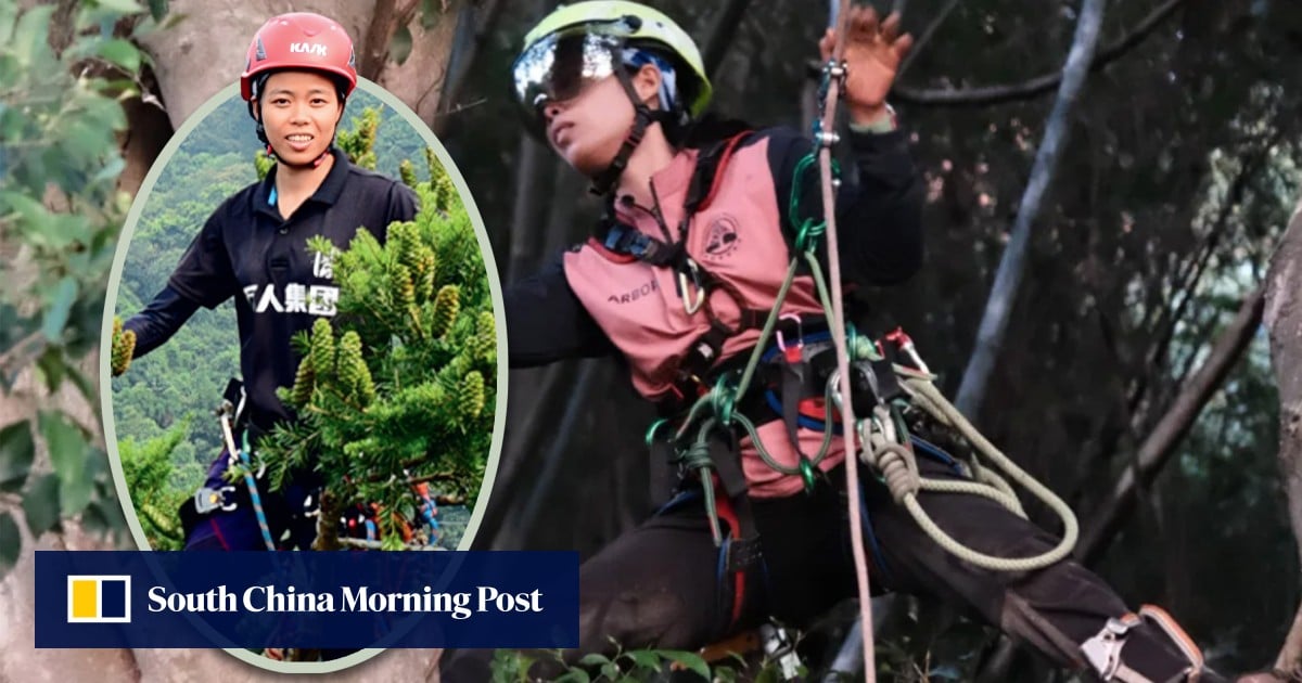 China’s first female expert tree climber transforms fear of heights into thriving career