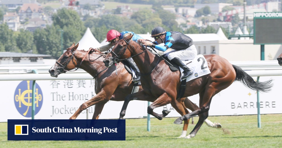 Hong Kong Jockey Club joins forces with Deauville in France on MOU for horse supply and riding