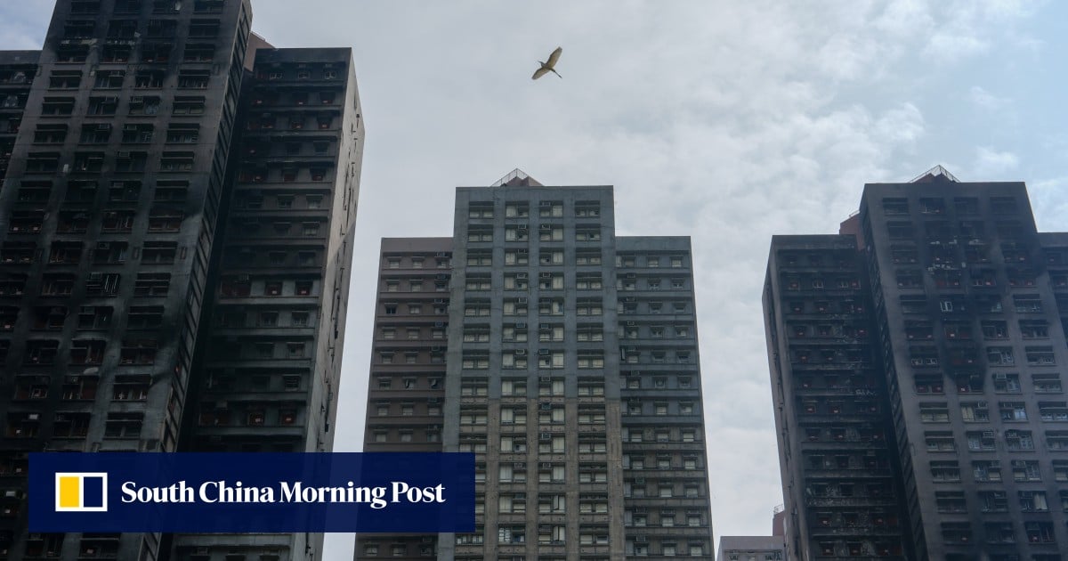 ‘Heavy’ hearts as residents of Wang Fuk Court’s only spared block return again