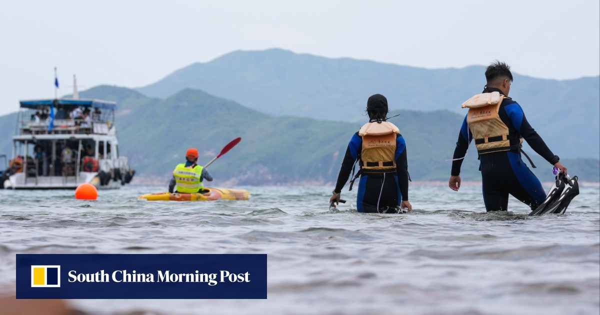 https://cdn.i-scmp.com/sites/default/files/styles/og_image_scmp_generic/public/d8/images/canvas/2026/05/14/371c556f-a8fb-48e1-bfe1-4ed6ffe30a31_40caba09.jpg?itok=5UkFy2Tr&v=1778733268