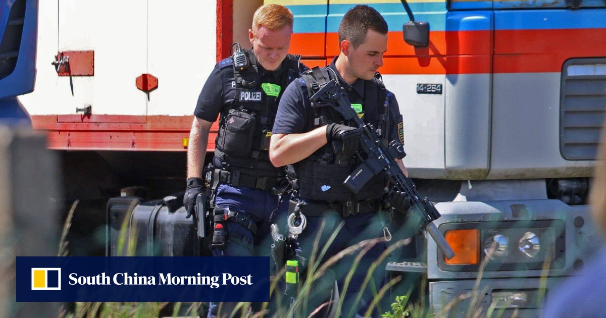 German police kill escaped tiger after handler mauled