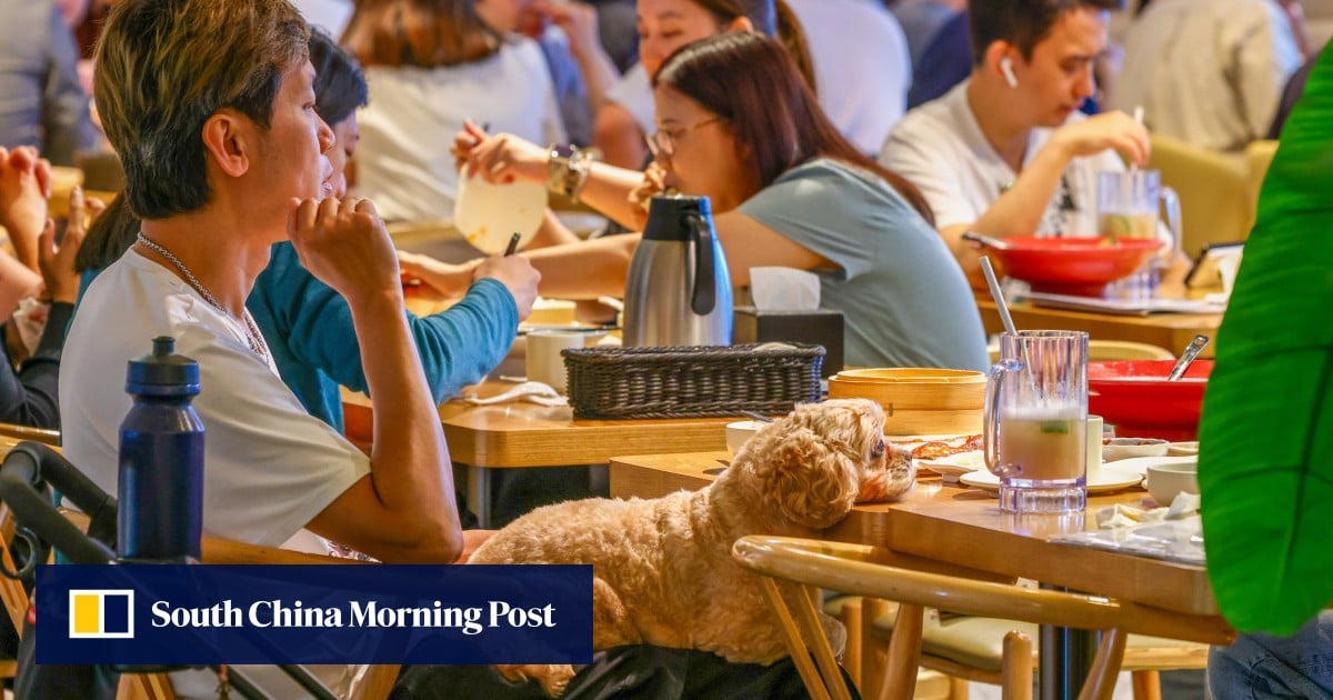 https://cdn.i-scmp.com/sites/default/files/styles/og_image_scmp_generic/public/d8/images/canvas/2026/05/18/96cf502c-3c7f-48b5-abd6-34030a8549e8_a6b8e043.jpg?itok=S_Dyu83R&v=1779114677