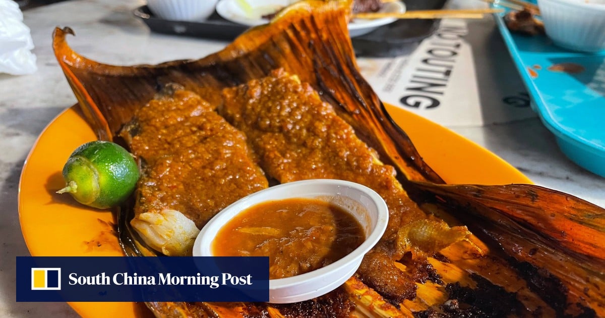 https://cdn.i-scmp.com/sites/default/files/styles/og_image_scmp_generic/public/d8/images/canvas/2026/05/18/f64abb44-c128-4bed-862a-704430daa498_15c738ea.jpg?itok=5FoWpTj9&v=1779079431