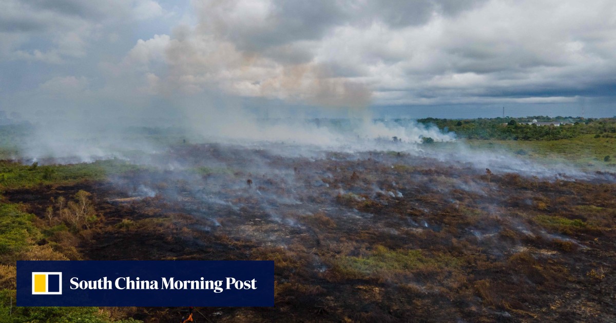 https://cdn.i-scmp.com/sites/default/files/styles/og_image_scmp_generic/public/d8/images/canvas/2026/05/19/b47a80e9-029c-456f-9577-b73a50de817b_772354e7.jpg?itok=jBeo3XGF&v=1779158610