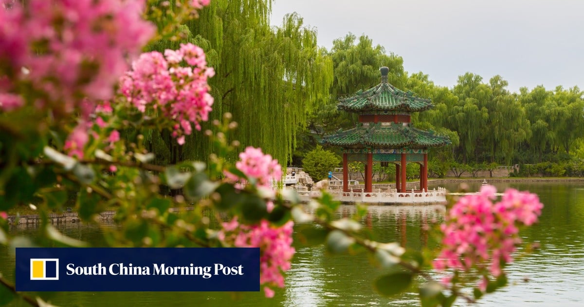 https://cdn.i-scmp.com/sites/default/files/styles/og_image_scmp_generic/public/d8/images/canvas/2026/05/20/db1e0796-2a23-415c-b159-c0855d75168a_ef1cc46c.jpg?itok=azzb6iGt&v=1779259785