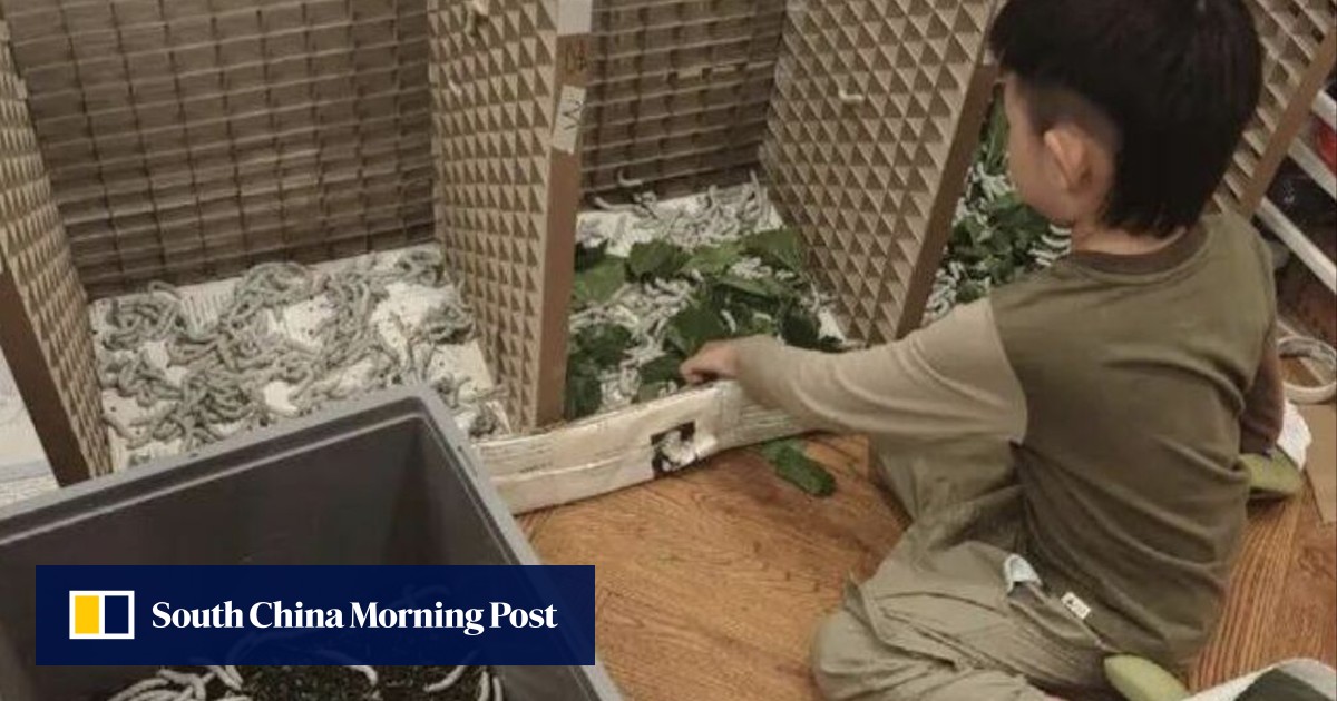https://cdn.i-scmp.com/sites/default/files/styles/og_image_scmp_generic/public/d8/images/canvas/2026/05/20/f60beba9-7e1e-4b05-a039-27e96578933d_71fa3825.jpg?itok=_D5qyHme&v=1779266865