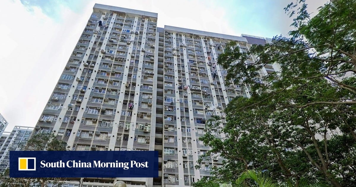 Hong Kong police probe suspected airgun damage to window of Yuen Long flat