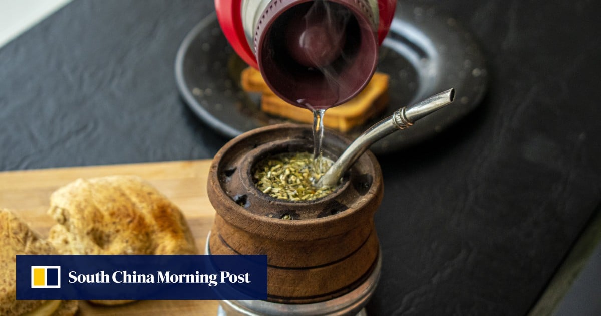 Yerba mate has lots of health benefits but Chinese may be drinking it wrong