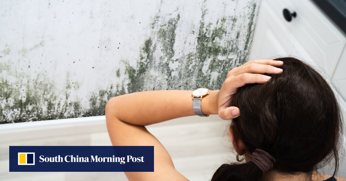 https://cdn.i-scmp.com/sites/default/files/styles/og_image_scmp_generic/public/d8/images/canvas/2026/05/22/c2ba4552-307e-428c-b001-1cfbb6ba4486_d0e02936.jpg?itok=BwS3Ev0t&v=1779423166