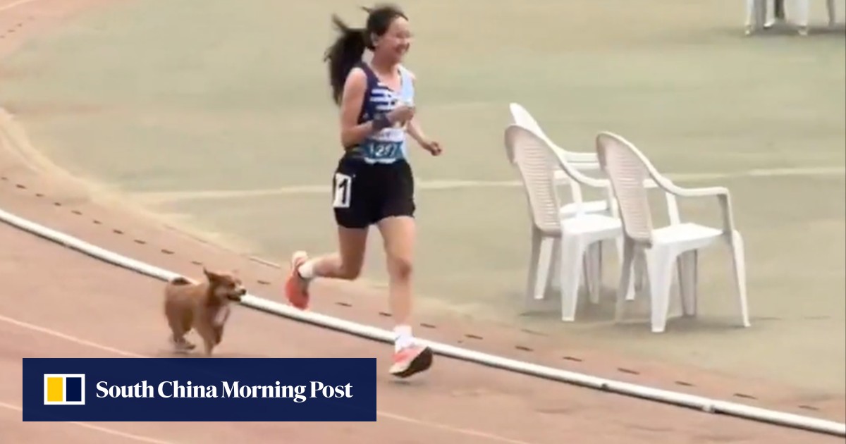 https://cdn.i-scmp.com/sites/default/files/styles/og_image_scmp_generic/public/d8/images/canvas/2026/05/22/cc6f0657-a994-4fd8-80ac-39e5dbb1d46b_8afc65ba.jpg?itok=fMFtDpoj&v=1779430208