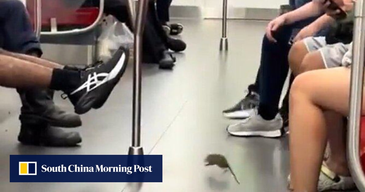 https://cdn.i-scmp.com/sites/default/files/styles/og_image_scmp_generic/public/d8/images/canvas/2026/05/25/388b4148-3bcf-4f9c-b12a-f9dbfa88dc78_01195565.jpg?itok=4cqZvBSS&v=1779682984