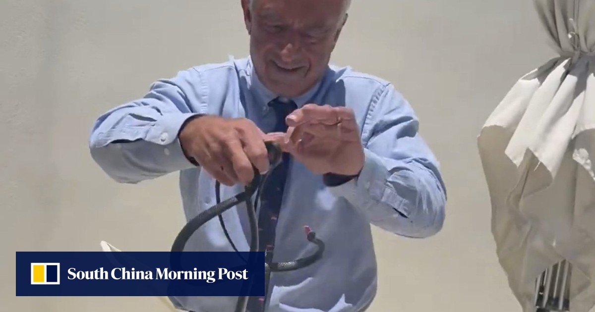 RFK Jnr posts video of him grabbing 2 snakes, as his wife asks ‘why?’