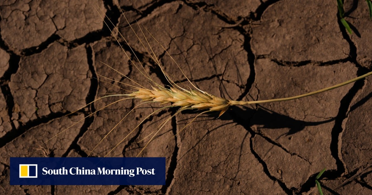 Earth is hot and getting hotter: UN warns next 5 years likely to smash records Earth is hot and getting hotter: UN warns next 5 years likely to smash records