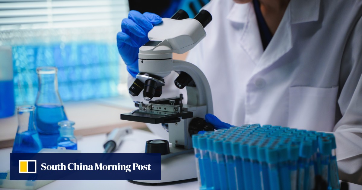 https://cdn.i-scmp.com/sites/default/files/styles/og_image_scmp_generic/public/d8/images/canvas/2026/05/29/c8b1c55f-89bd-4a7f-9c91-006d75465c8b_487dffb2.jpg?itok=D78RnxQK&v=1780047061