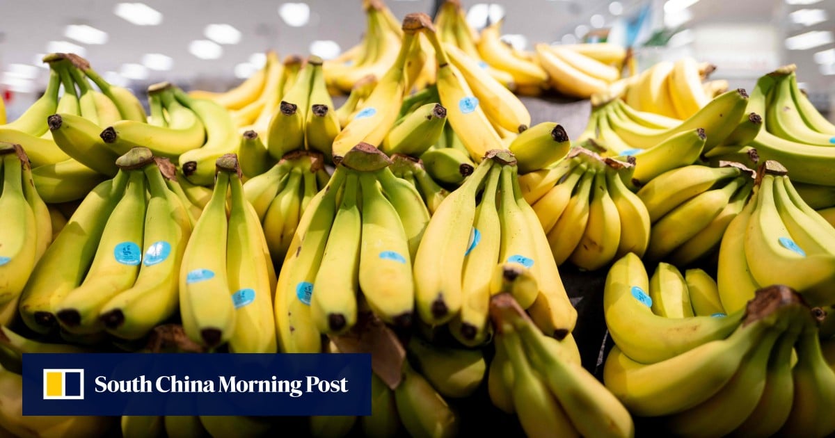 In Japan, ethylene shortage may cause bananas to ‘disappear’ from dining tables
