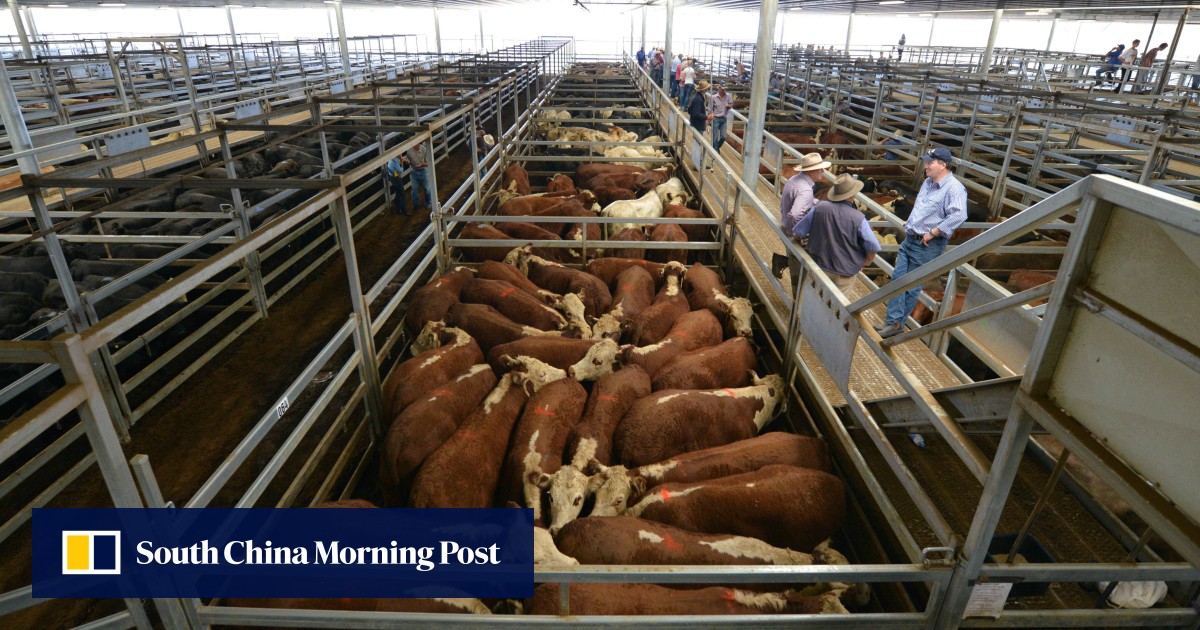 https://cdn.i-scmp.com/sites/default/files/styles/og_image_scmp_generic/public/d8/images/canvas/2026/06/02/df2493c4-a91e-4fd3-927e-c16e1177e753_5477847e.jpg?itok=9x7-Jd_Y&v=1780391099
