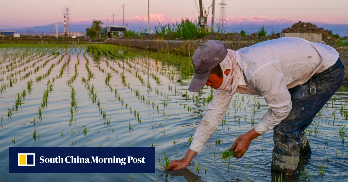China backs AI, gene editing to bolster its food security in a risky new era