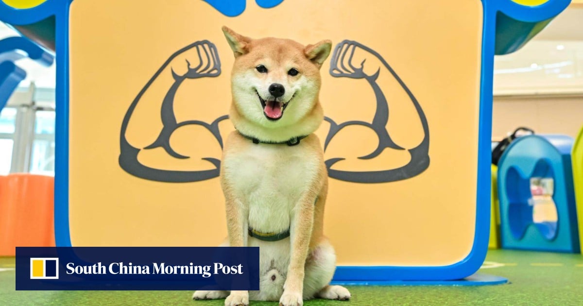 5 of the best things to do in Hong Kong this weekend, June 5-7