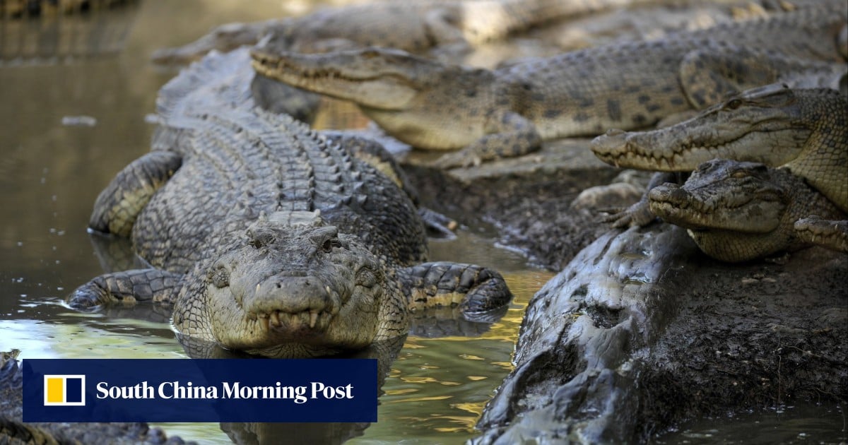https://cdn.i-scmp.com/sites/default/files/styles/og_image_scmp_generic/public/d8/images/canvas/2026/06/04/6eeee29c-2e29-4647-9d6e-794b6605ef70_a1c37023.jpg?itok=-iCmT57D&v=1780585571