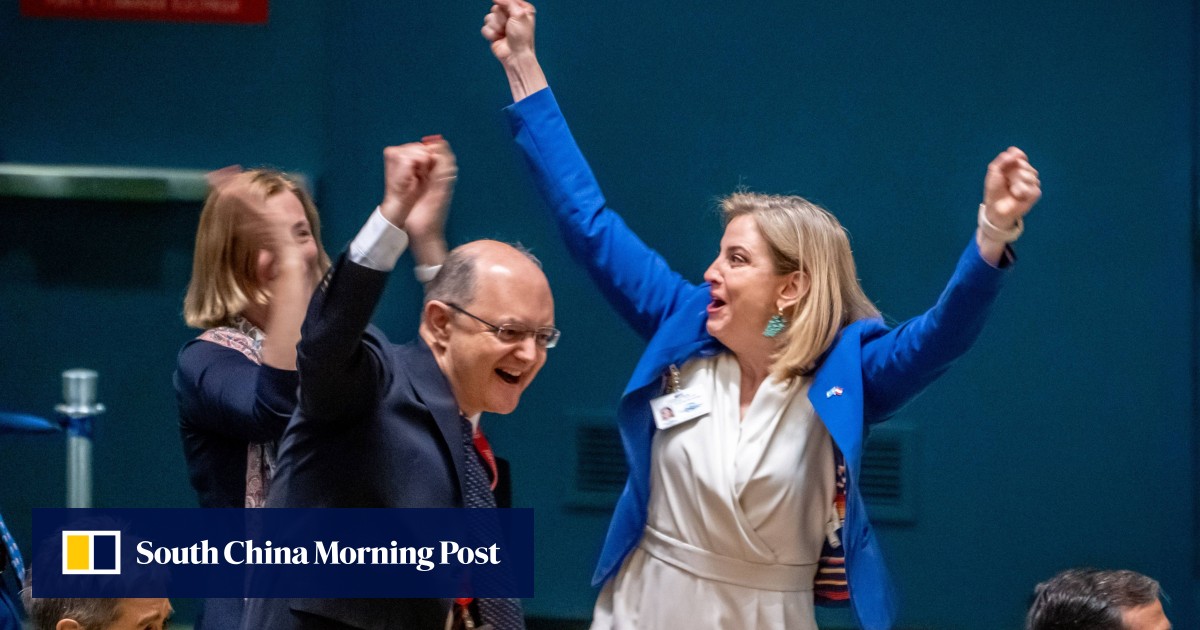 Portugal and Austria defeat Germany for seats on UN Security Council