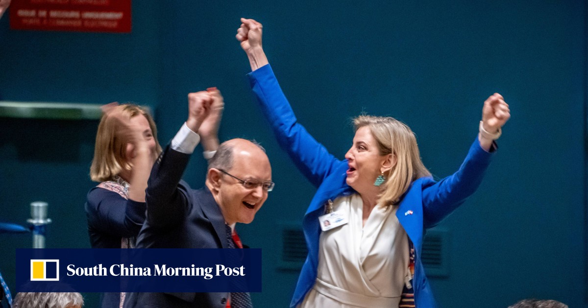 Portugal and Austria defeat Germany for seats on UN Security Council