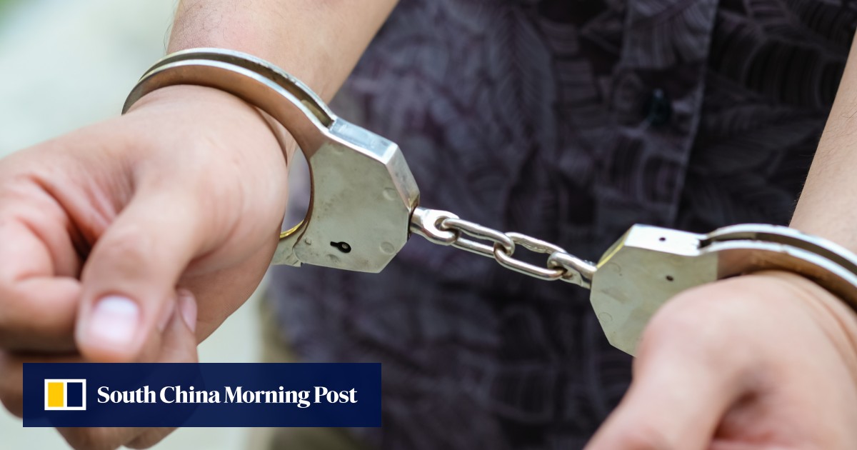 Hong Kong man arrested for allegedly groping schoolgirl on bus