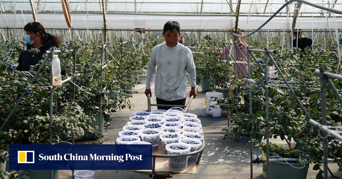 https://cdn.i-scmp.com/sites/default/files/styles/og_image_scmp_generic/public/d8/images/canvas/2026/06/05/b404f488-a4dd-45a7-9227-aabf1f104213_4d4c53b1.jpg?itok=18JMwXHi&v=1780653596